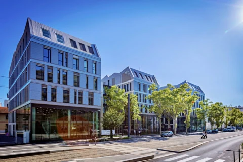 Immeubles modernes à façades claires, vitrines, tramway et trottoir arboré sous ciel bleu.