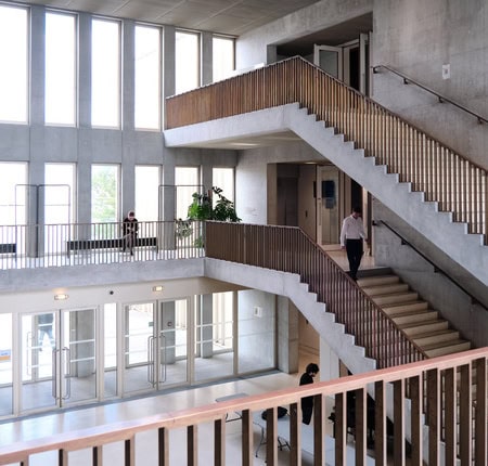 Trio de diplômés HEC en toges et écharpes violettes lors de la remise des diplômes.