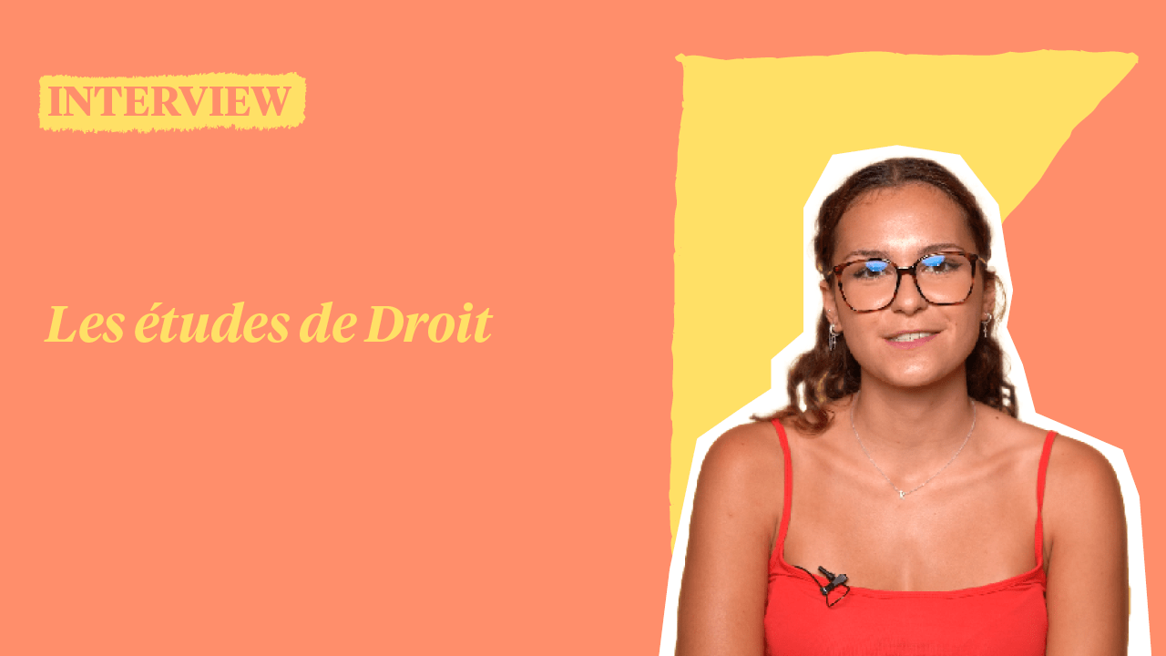 Les études de droit