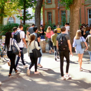 École Toulouse School of Management 7