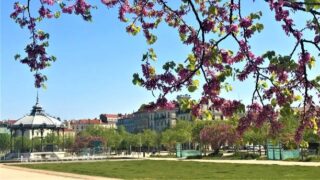 Valence vue depuis un parc de la ville