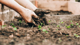 Professions : la revanche des métiers manuels