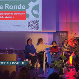 IAE Saint-Etienne : conférence du Jane Goodall Institute France