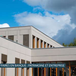Le master Chargé d'affaires en Banque : Patrimoine et Entreprise de l'IAE Saint-Etienne