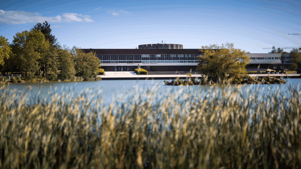 Le campus de Polytechnique.