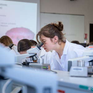 École ESA, L’Ecole supérieure des agricultures 6