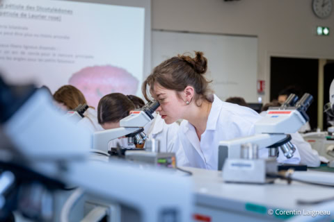 École ESA, L’Ecole supérieure des agricultures 6