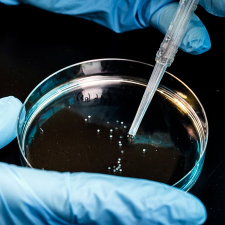 École Polytechnique 2