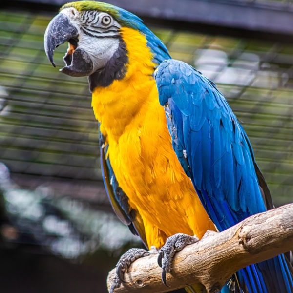 Organisme de formation Zoo Academia 2