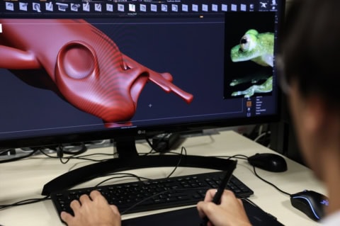 modelisation-dune-grenouille-esma-3d-lyon