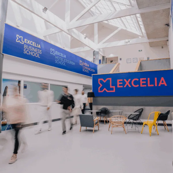 Ecole Excelia logotées13