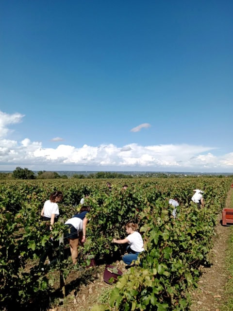 Vue d'un groupe d'étudiant dans un champ pour illustrer LP-MVT-ESA