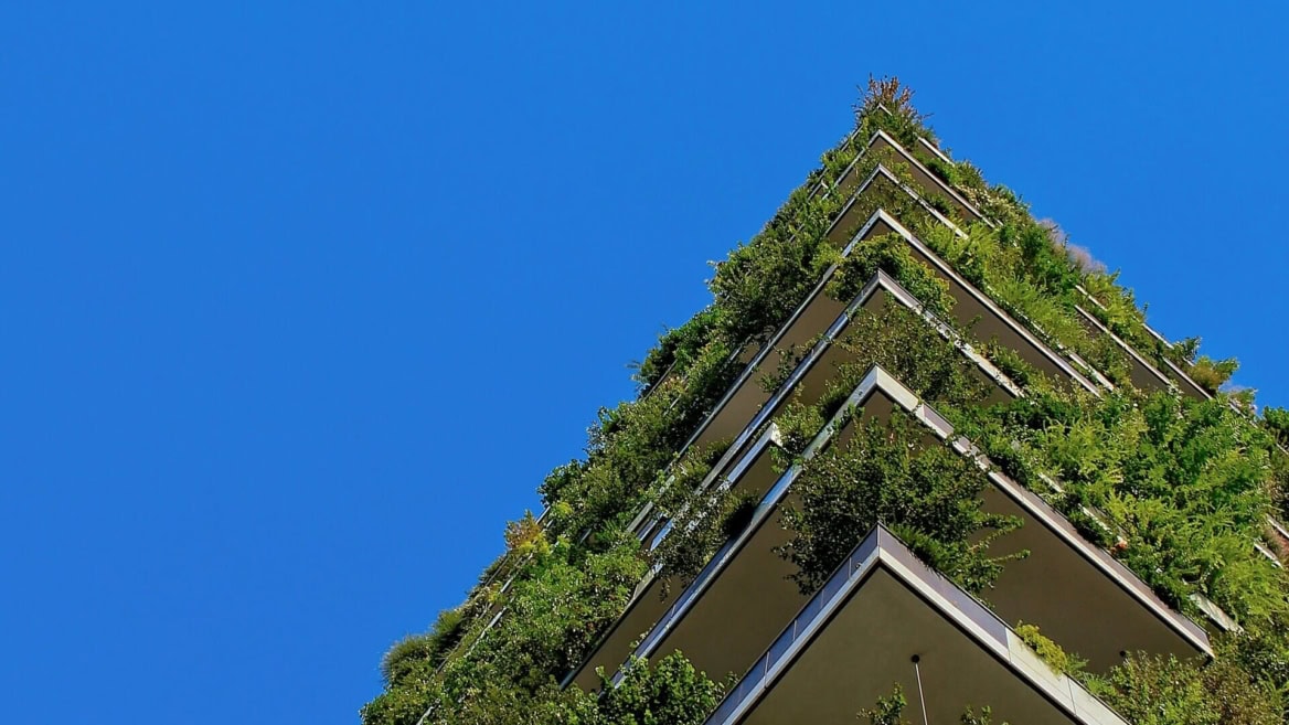 immeuble avec des plantes