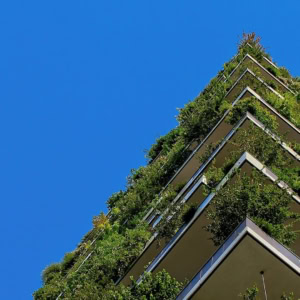 immeuble avec des plantes