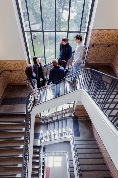 Vue en hauteur d'un groupe d'étudiant dans les escaliers pour illustrer le MsC
