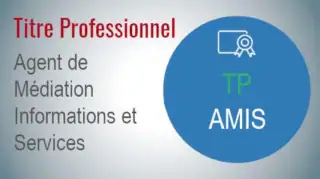 Logo agent-de-mediation-information-services