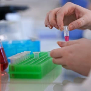 École Supbiotech 11