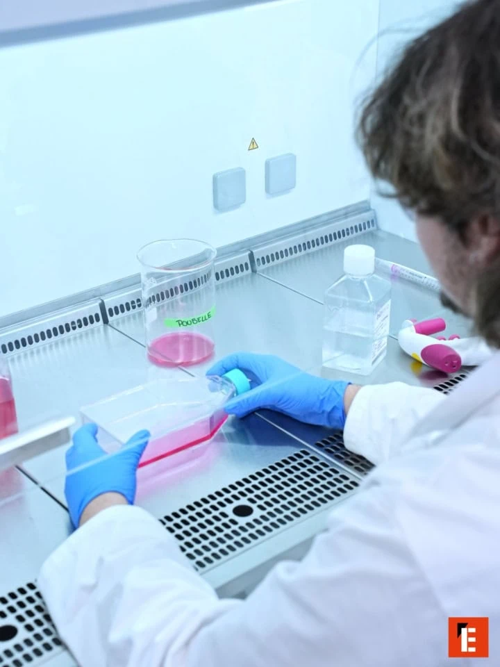 École Supbiotech 13