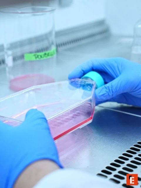 École Supbiotech 14