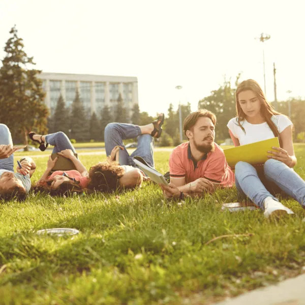 Groupe détudiants révisant sur la pelouse ensoleillée dun campus.