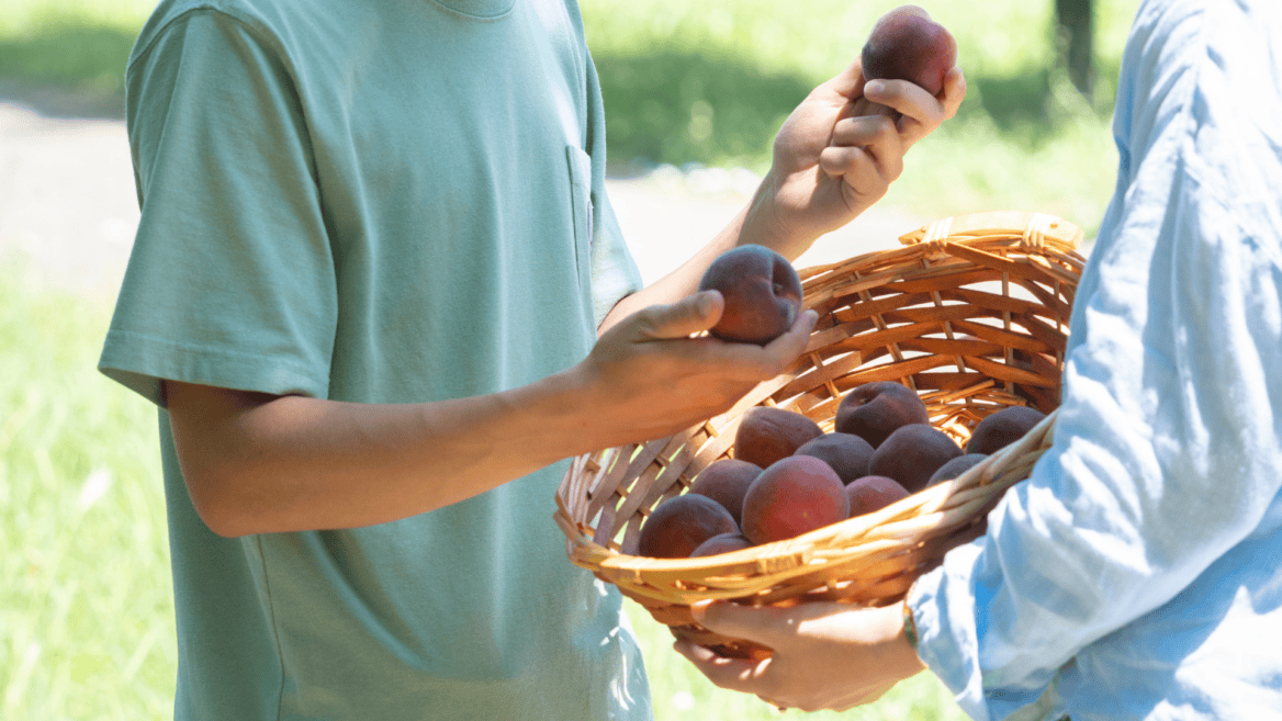 Des jeunes remplissent un panier de fruits.