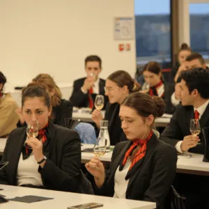 Atelier dégustation de vin en salle, formation professionnelle avec verres, crachoirs et prises de notes.