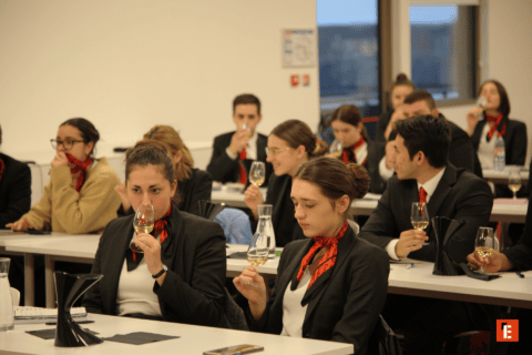 Atelier dégustation de vin en salle, formation professionnelle avec verres, crachoirs et prises de notes.