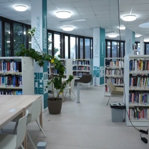 Bibliothèque moderne lumineuse avec étagères basses, grandes baies vitrées et espaces de travail.