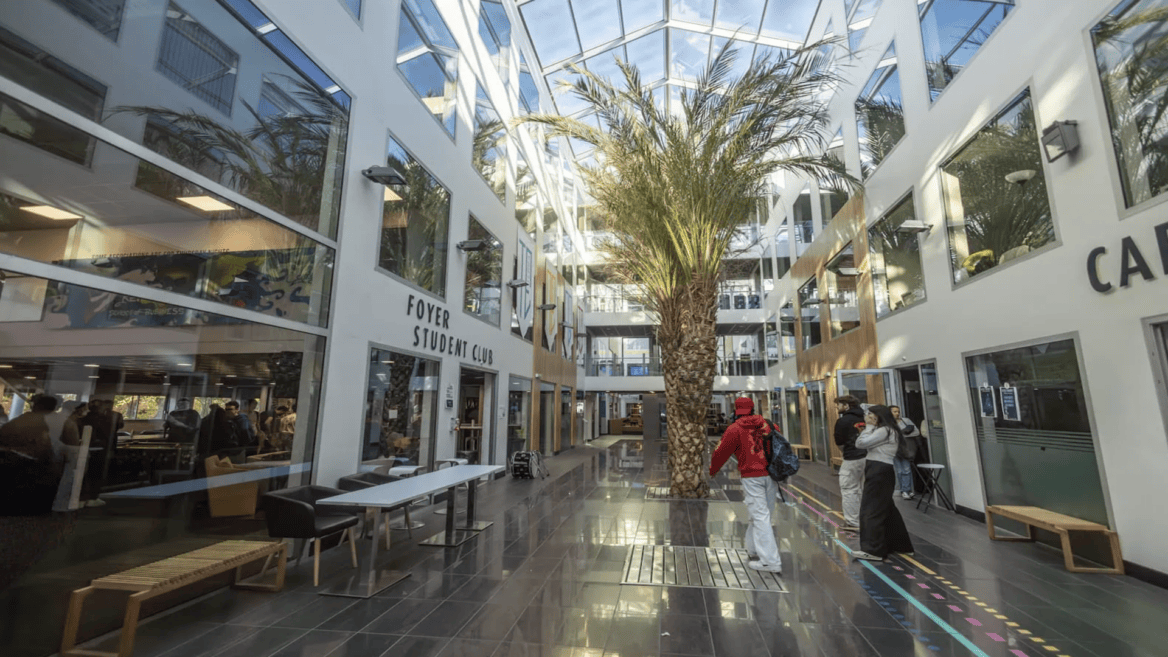 Atrium lumineux avec palmier, verrière et foyer étudiant contemporain.