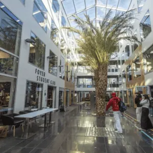 Atrium lumineux avec palmier, verrière et foyer étudiant contemporain.