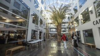 Atrium lumineux avec palmier, verrière et foyer étudiant contemporain.