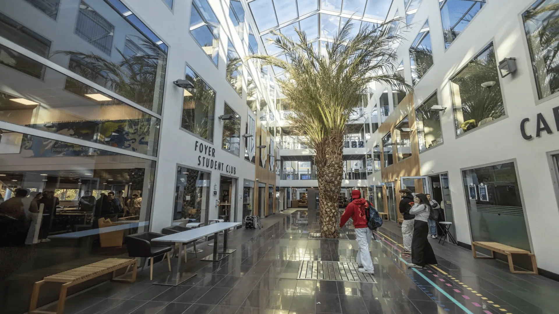 Atrium lumineux avec palmier, verrière et foyer étudiant contemporain.