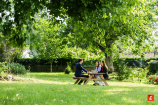 Réunion informelle dans un jardin sous un arbre, trois personnes autour dune table pique-nique.