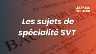 Sujets de spécialité SVT baccalauréat, annales, corrigés et ressources pédagogiques.