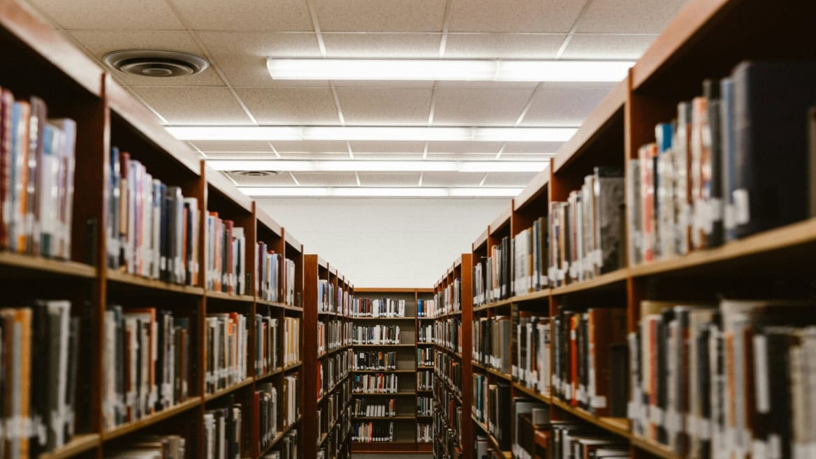 Allée de bibliothèque bordée détagères en bois et livres, perspective profonde.