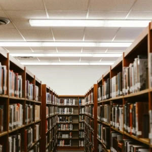 Allée de bibliothèque bordée détagères en bois et livres, perspective profonde.