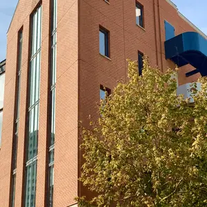 Façade dimmeuble en brique avec baies vitrées verticales et passerelle bleue, arbre en premier plan.