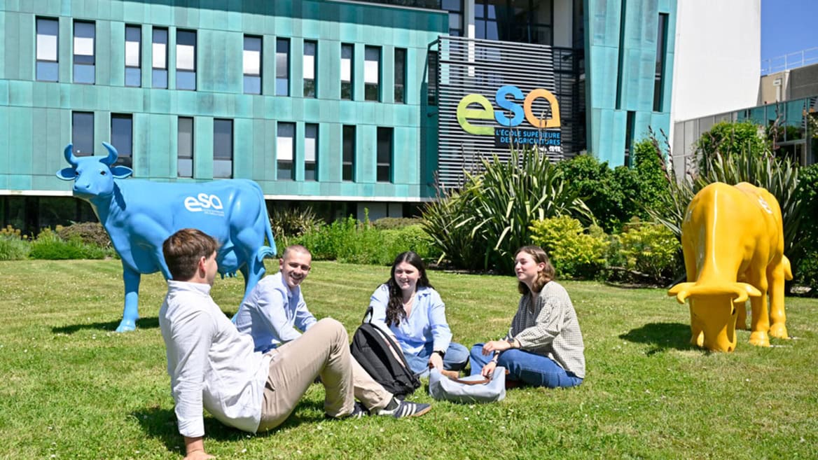 Étudiants sur pelouse devant ESA Angers, école dagriculture et agronomie, vaches sculptures colorées.