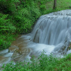 Cascade forestière, rivière en longue exposition, eau lisse, végétation verte, pierres couvertes de mousse.