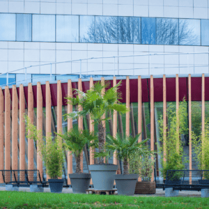 Façade urbaine moderne avec terrasse végétalisée, bancs, lames de bois et fenêtres.