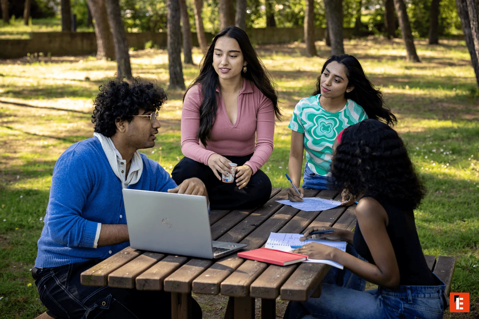 Groupe détudiants travaillant en plein air autour dune table de pique-nique avec un ordinateur.