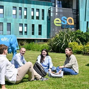 Étudiants sur pelouse devant ESA Angers, école dagriculture et agronomie, vaches sculptures colorées.