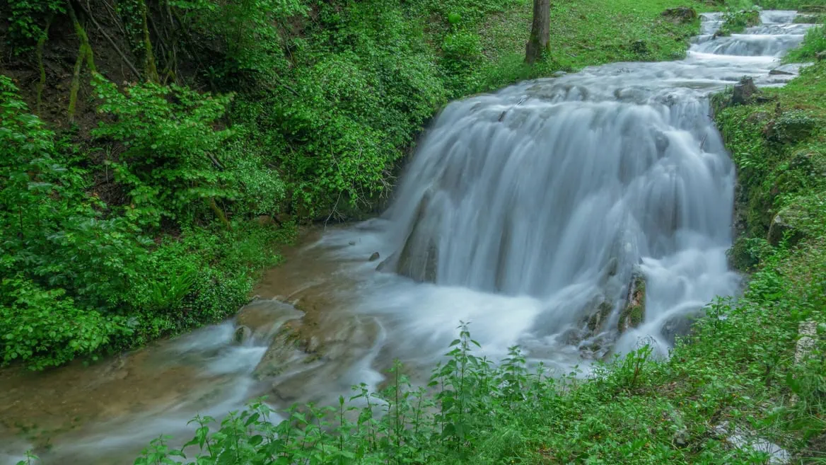 Cascade forestière, rivière en longue exposition, eau lisse, végétation verte, pierres couvertes de mousse.